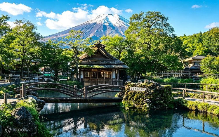 Mount Fuji Internet Celebrity Check-in & Flower Viewing Day Tour