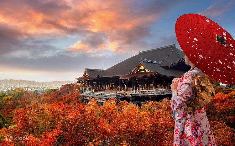 Small Group Tour for 4-9 People] Kyoto & Nara Day Trip | Kiyomizu