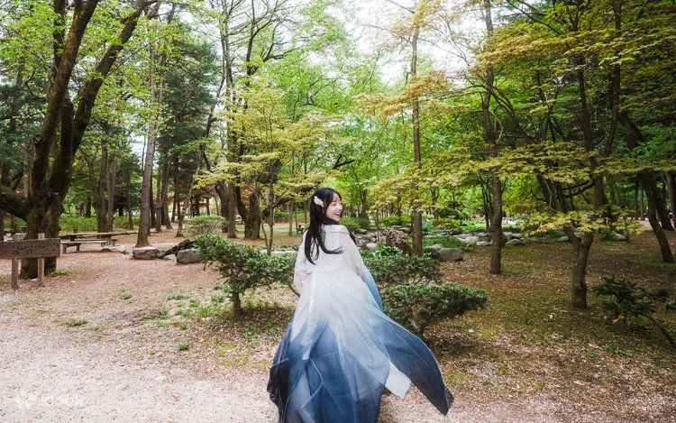 Alpaca World, Nami Island & The Garden of Morning Calm Private