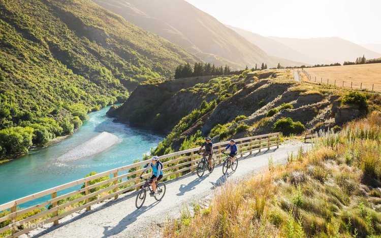 New Zealand Skyline Mtb Pass Gibbston Valley Wineries Bike Trip