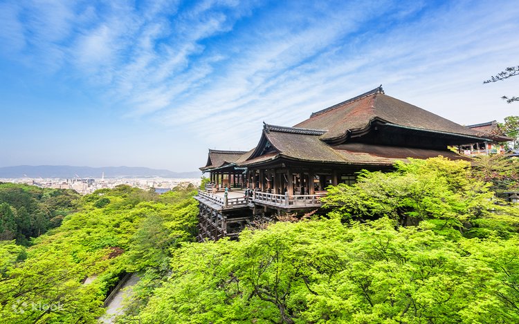 清水寺、二条坂、金剛寺、八坂庚申堂、大御寺、宇治平等院、京都
