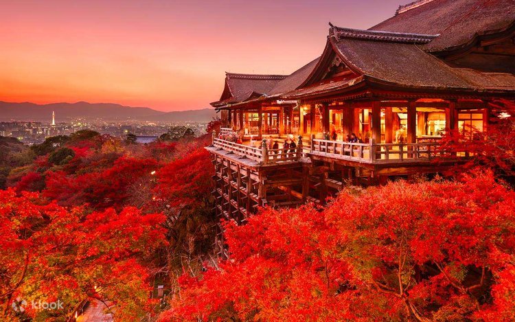 ondo　京東都　清水寺　伏見稲荷　ストール　京都　kyoto ondo様専用 京東都 清水寺 伏見稲荷 ストール 京都 kyoto