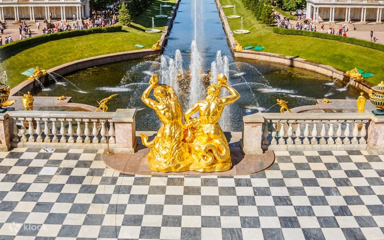 Yalangoch joka daraxti fotosurati