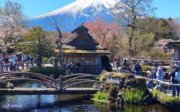 富士山スワンボート・温泉ツアー】富士山五合目・忍野八海