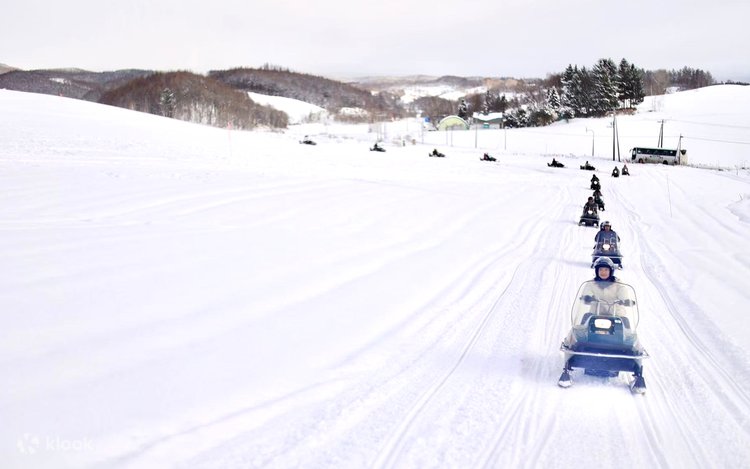 Winter Hokkaido | Asahiyama Zoo & Shikisai-no-oka & Blue Pond