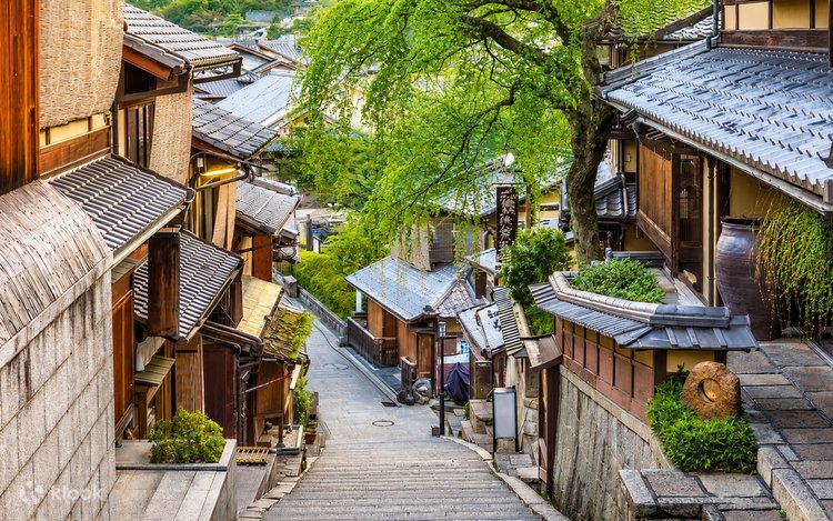 京都清水寺・伏見稻荷千本鳥居・世界遺產奈良東大寺與小鹿親密互動一日