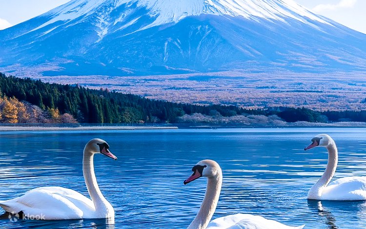 Xotinim bilan havaskor jinsiy aloqa onlayn