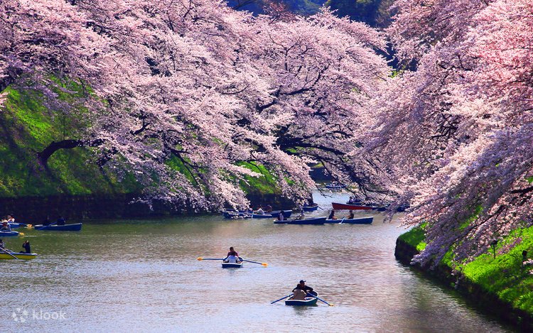 週末を楽しむ東京の花と緑と名所ガイド36コース 週末を楽しむ東京の花と緑と名所ガイド36コース 週末を楽しむ
