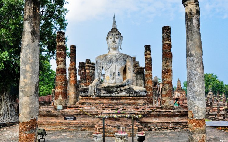 Вологданың телефон нөмірі Ауызға және есек фотоға берді