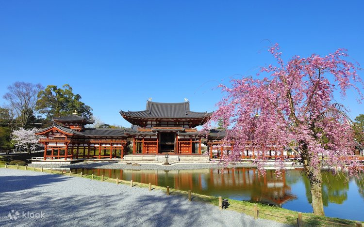 京都・平等院 割引チケット（拝観料＋音声ガイド）の予約 | Klook