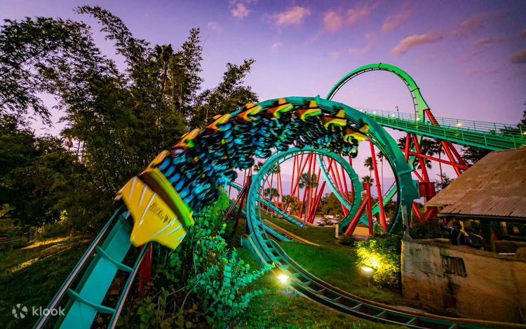 Busch Gardens Tampa Bay Admission
