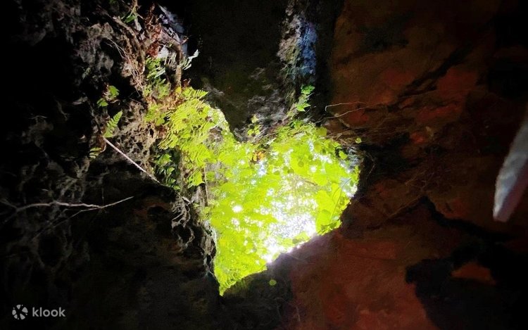 CAVE OKINAWA | Klook