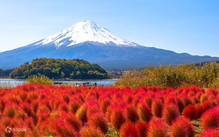 富士山写真 「雄揮の大地」 富士山お花見＋ショッピングor温泉ツアー】新倉山公園＆氷川時計