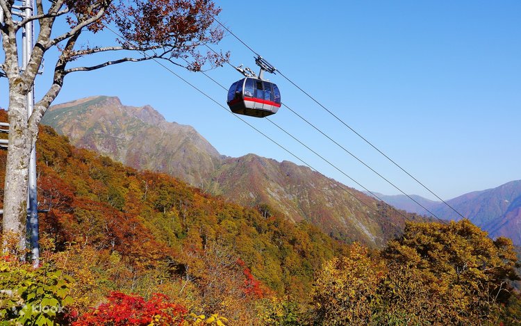 Tanigawadake Ropeway and Tenjin One Day Trip from Tokyo - Klook