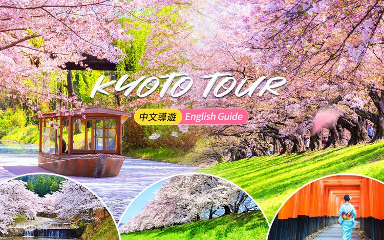 桜の季節限定 - 京都伏見稲荷大社・天尺舟下り、裏土手、七子川