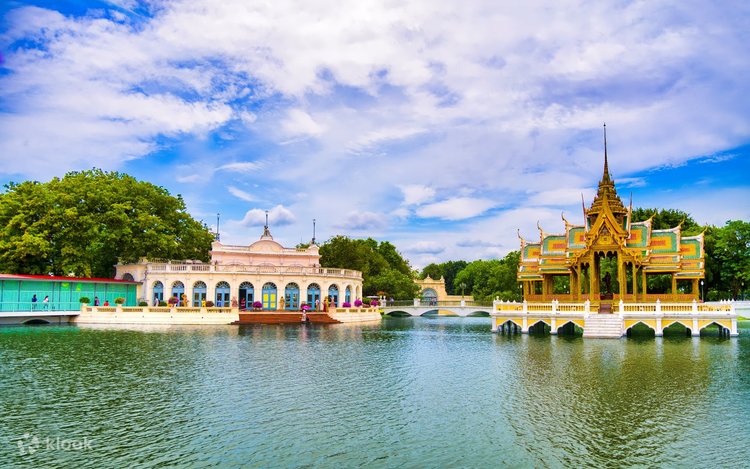 Ит видеоны аяқтады