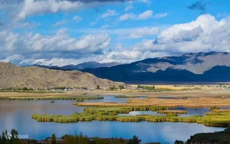 Volgograd fohishalari