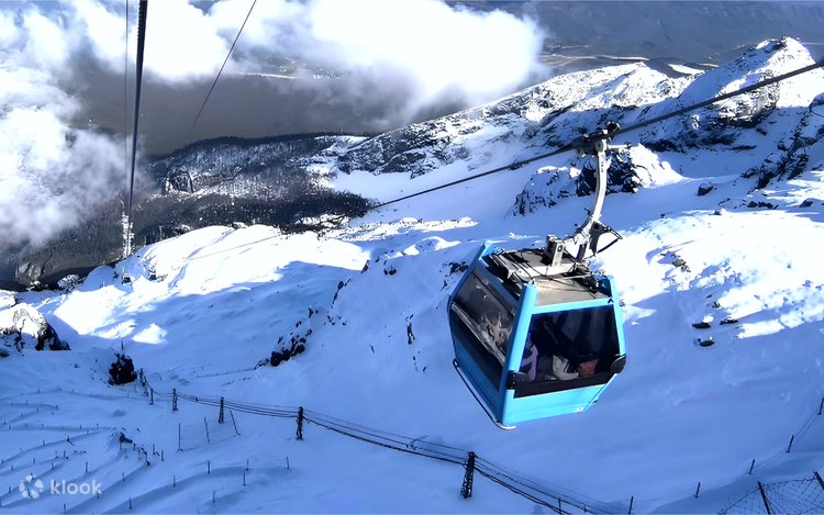 【Dragon】culcolle 【GETAWAY (ゲッタウェイ)】 Lijiang Private Day Tour: Jade Dragon Snow Mountain, Glacier Park