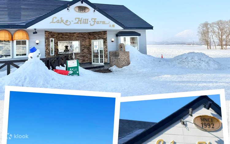 Hokkaido: Lake Hill Farm Snowmobile Experience (Includes Ice Cream