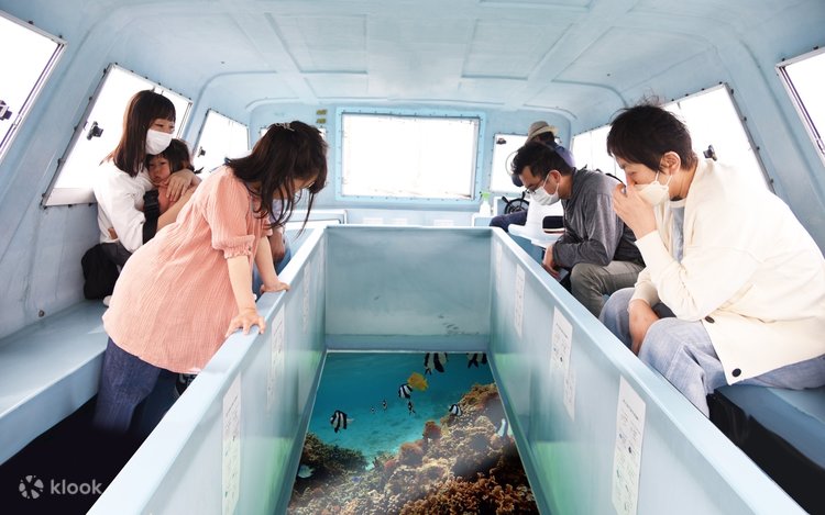 沖縄：新原ビーチ グラスボート遊覧体験 | Klook
