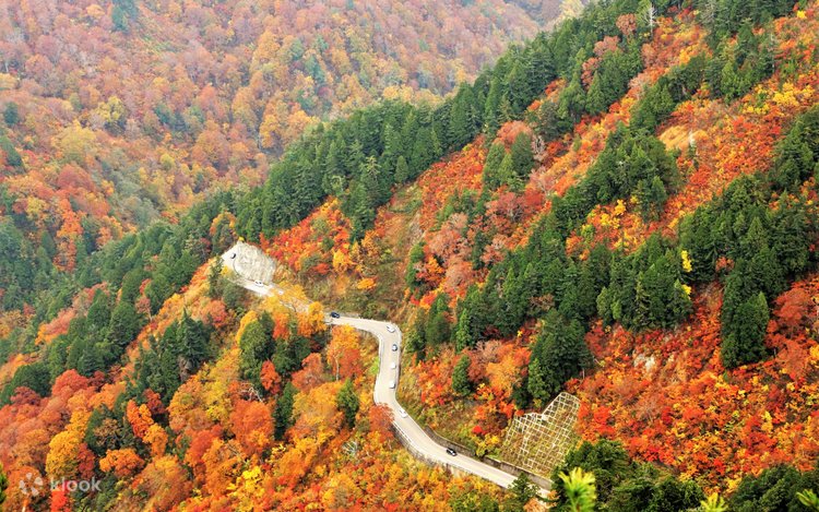 金沢発の風光明媚な白山白川郷ホワイトロードと白川郷 | Klook