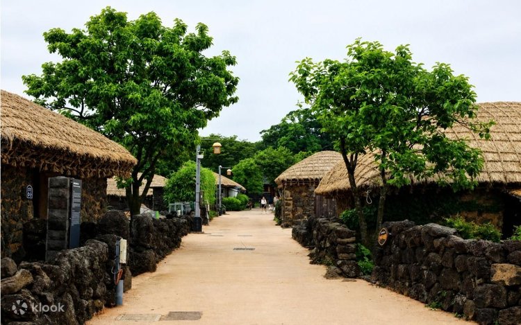 Jeju Spring Blossom Tour | Instagrammable Photo Spots - Klook