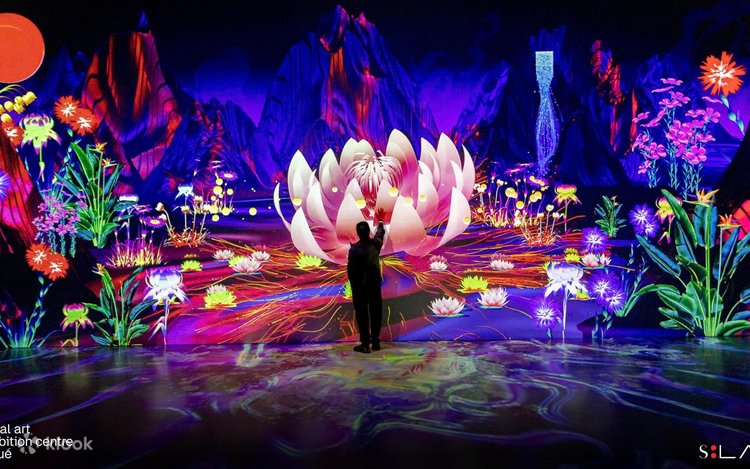 アート・デザイン・音楽 THEATRE DES REALITES フエのソンラボ デジタル アート センター チケット | Klook
