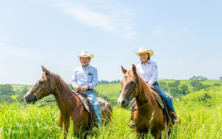 Half-day private horseback riding experience at Aso Daikanbo - Klook