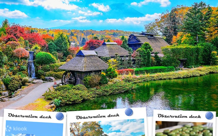 富士山经典之旅｜新仓山浅间公园/富士山五合目忍野八海&御殿场奥特莱斯