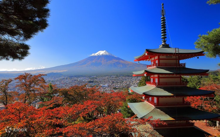 富士天鳥居秘密の日帰りツアー』富士山五合目＆富士吉田街道＆新