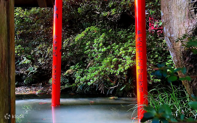 秋季限定】九州 紅葉日帰りツアー | 雷山千如寺大悲王院＋太宰府＋大