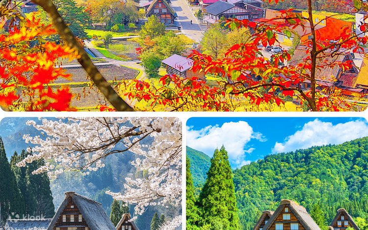世界遺産飛騨高山＋白川郷合掌村日帰りツアー | 展望台入場保証