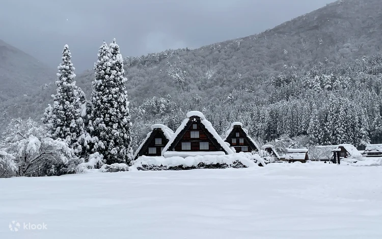 Snow-covered gassho-zukuri houses in Shirakawa-go