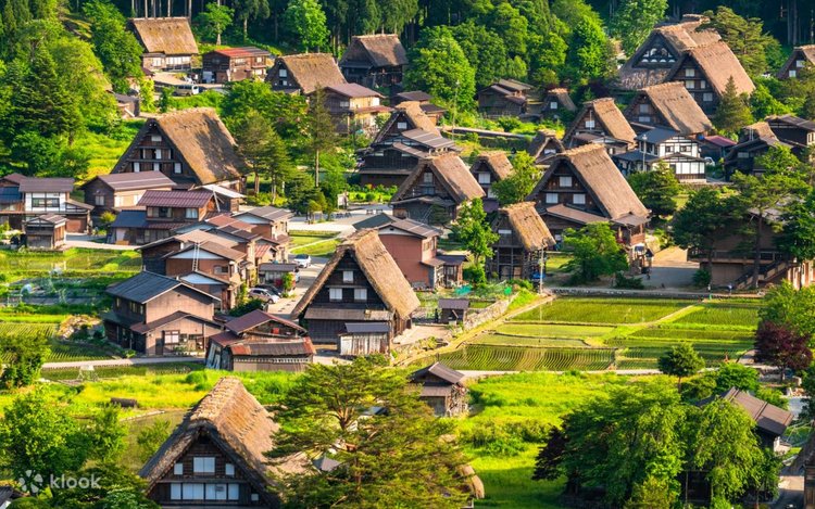 Buy JR Takayama-Hokuriku Area Tourist Pass Online for 5 Days