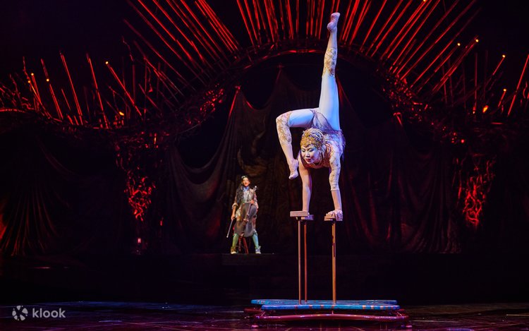 シルク・ドゥ・ソレイユ コスチューム 限定セット 25周年 Cirque シルク・ドゥ・ソレイユ日本公演最新作「ダイハツ アレグリア