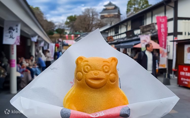 Kumamoto Cherry Blossom Tour from Fukuoka: Castle, Suizenji