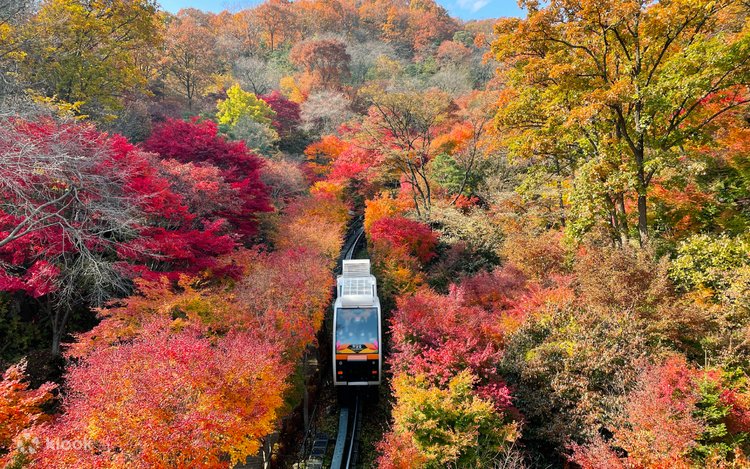ファダムスプ（和談の森）・リュージュ・韓国民俗村 日帰りツアー