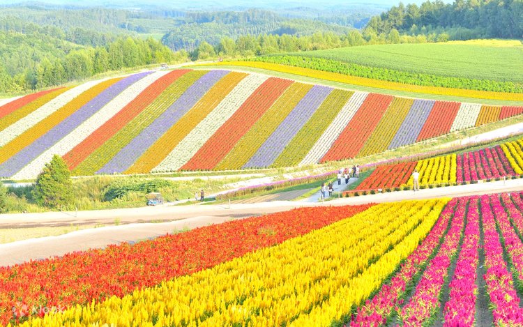 Belning tasiri ostida Belning tasiri ostida