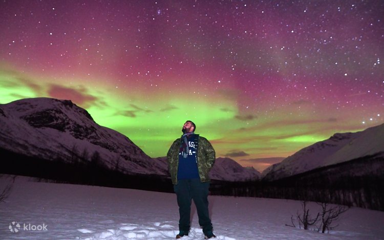 Aurora Northern lights Chase 8 Hours Tour (5 People MAX) + photos