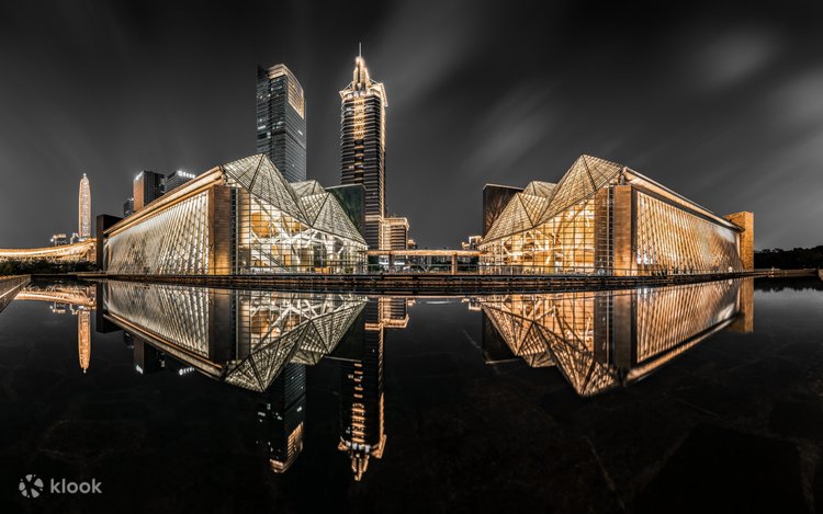 深圳未来之光 フォトグラフィーツアー（没入型SF夜景撮影体験、地元