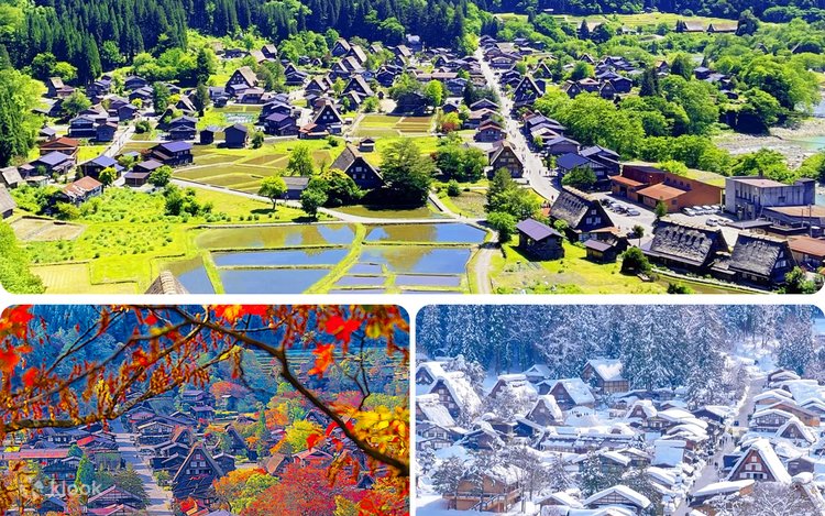 世界遺産 飛騨高山+白川郷合掌集落 日帰りツアー | 名古屋発｜展望台へ