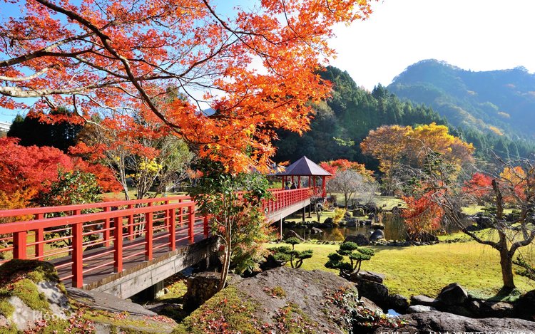 Yabakei One Day Bus Tour with Autumn Leaves Viewing from