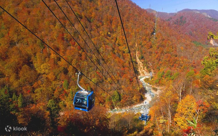 Naeba Dragondola & Tashiro Ropeway & Hakkaisan Ropeway