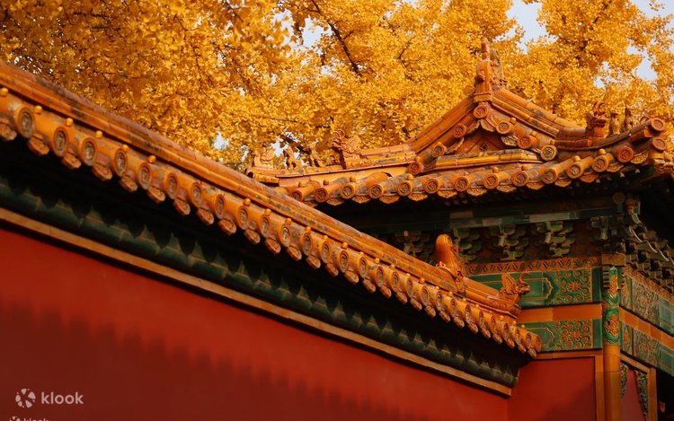 北京紫禁城チケット + 景山公園 + ガイド付き半日ツアー | Klook