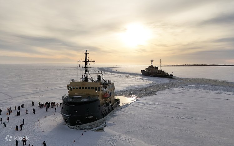 砕氷船アークティス・クルーズ | Klook