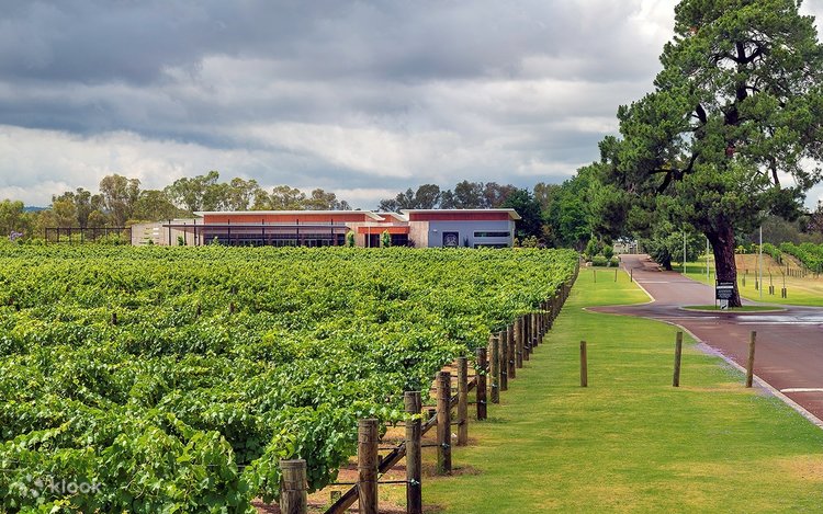 Wine Tasting Mandoon Estate Winery Mandoon Winery Accommodation