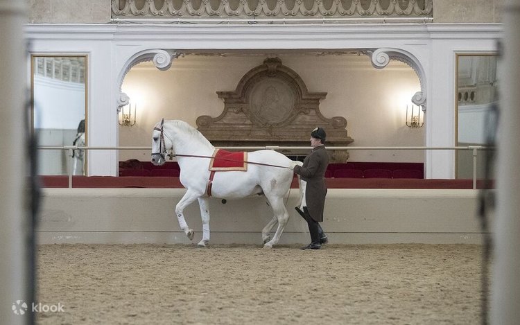 ウィーンのスペイン乗馬学校の調教見学 | Klook