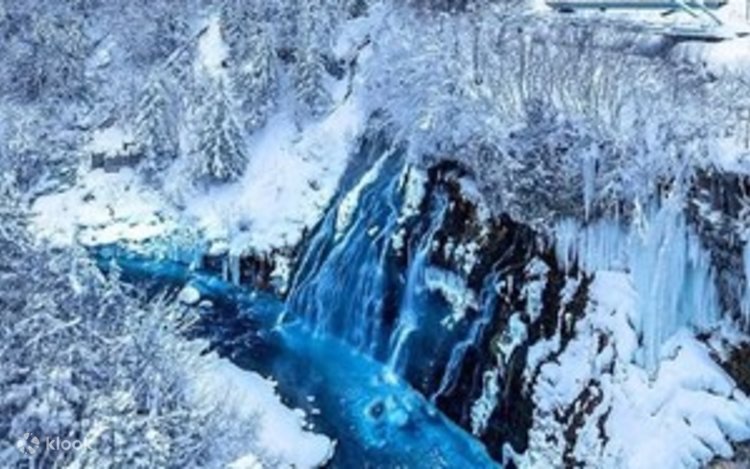 Asahiyama Zoo, Shirahige Falls, Blue Pond, & Ningle Terrace Car