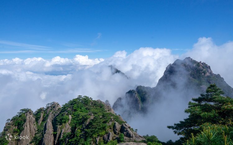 金陵 黃山全景圖 7,500+ 項黃山照片檔、圖片和免版稅影像- iStock