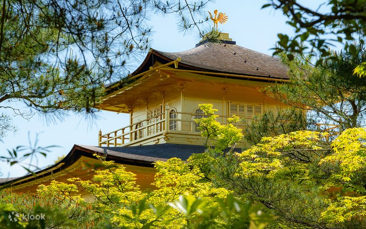 京都満喫】二条城＋金閣寺＋伏見稲荷大社＋嵐山天龍寺＆竹林の小径